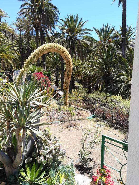 Casa Majores Vallehermoso Bagian luar foto